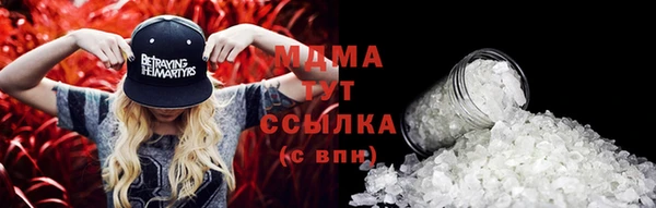 сатива Бородино