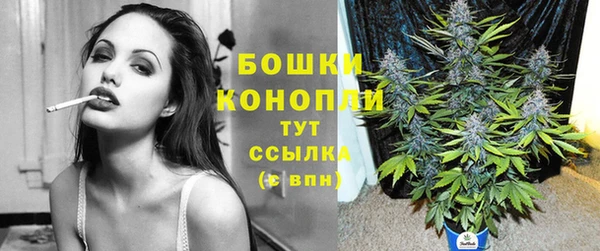 сатива Бородино