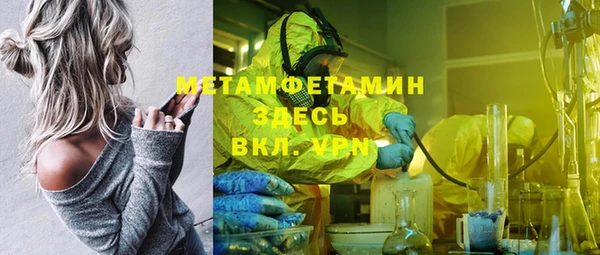 сатива Бородино