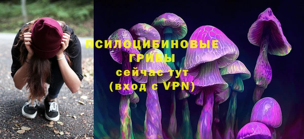 мет Богданович