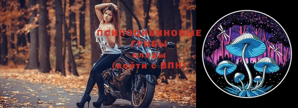 ПСИЛОЦИБИНОВЫЕ ГРИБЫ Богородицк